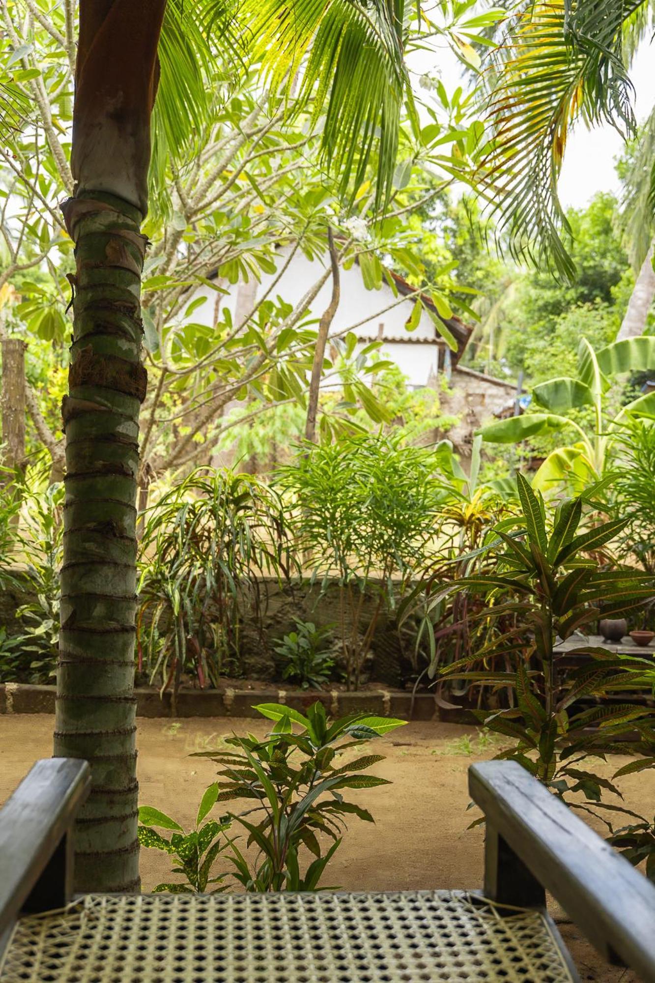 Agra Arugambay Vandrarhem Arugam Bay Exteriör bild